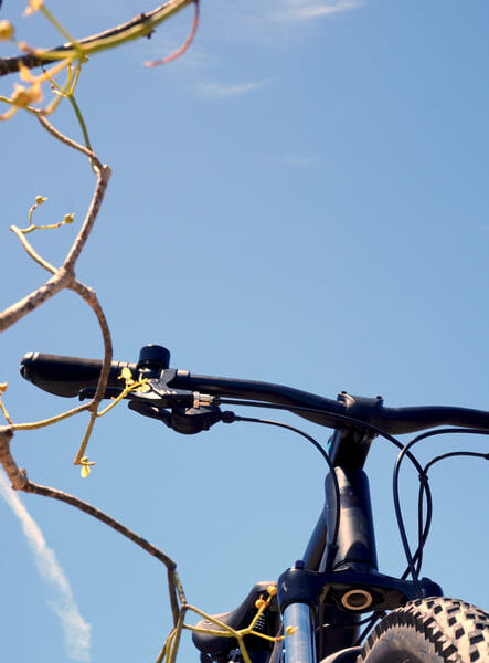 Radtouren in Lindau und Umgebung