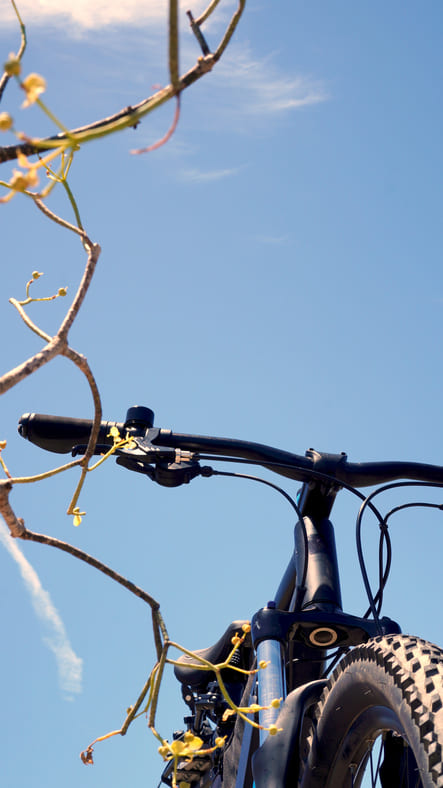 Radtouren in Lindau und Umgebung